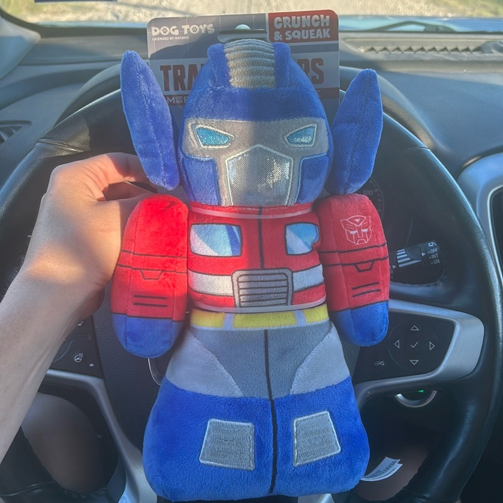 Transformer Dog Toy